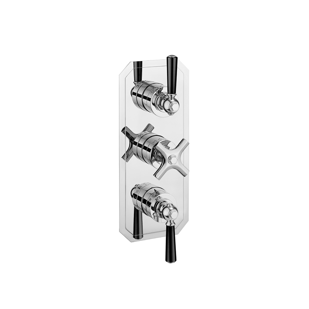 Waldorf Lever Thermostatic Shower Valve with 2 Way Diverter 