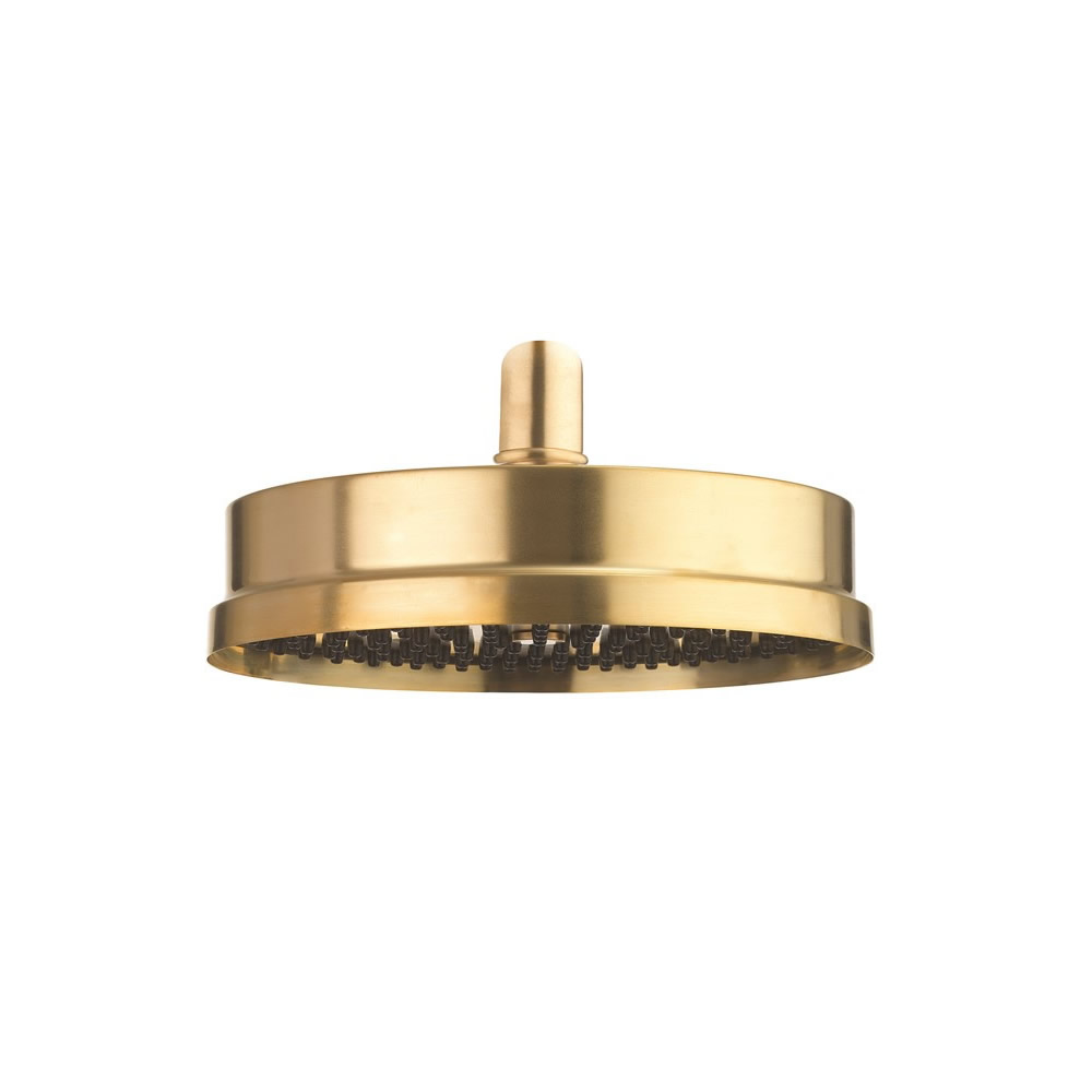 MPRO Industrial Easy Clean Shower Head 8" - Unlacquered Brushed Brass